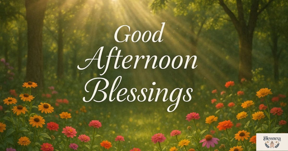 Beautiful Good Afternoon Blessings